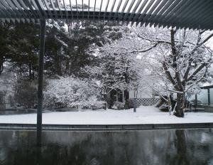 美術館の中から見た中庭の雪風景。