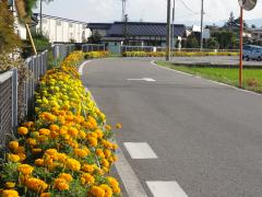 飯田花壇街道