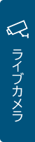 ライブカメラ
