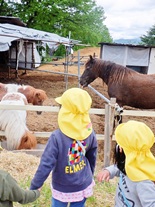 有明の森認定こども園