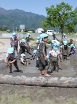 有明あおぞら認定こども園