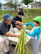 地域住民と稲刈り