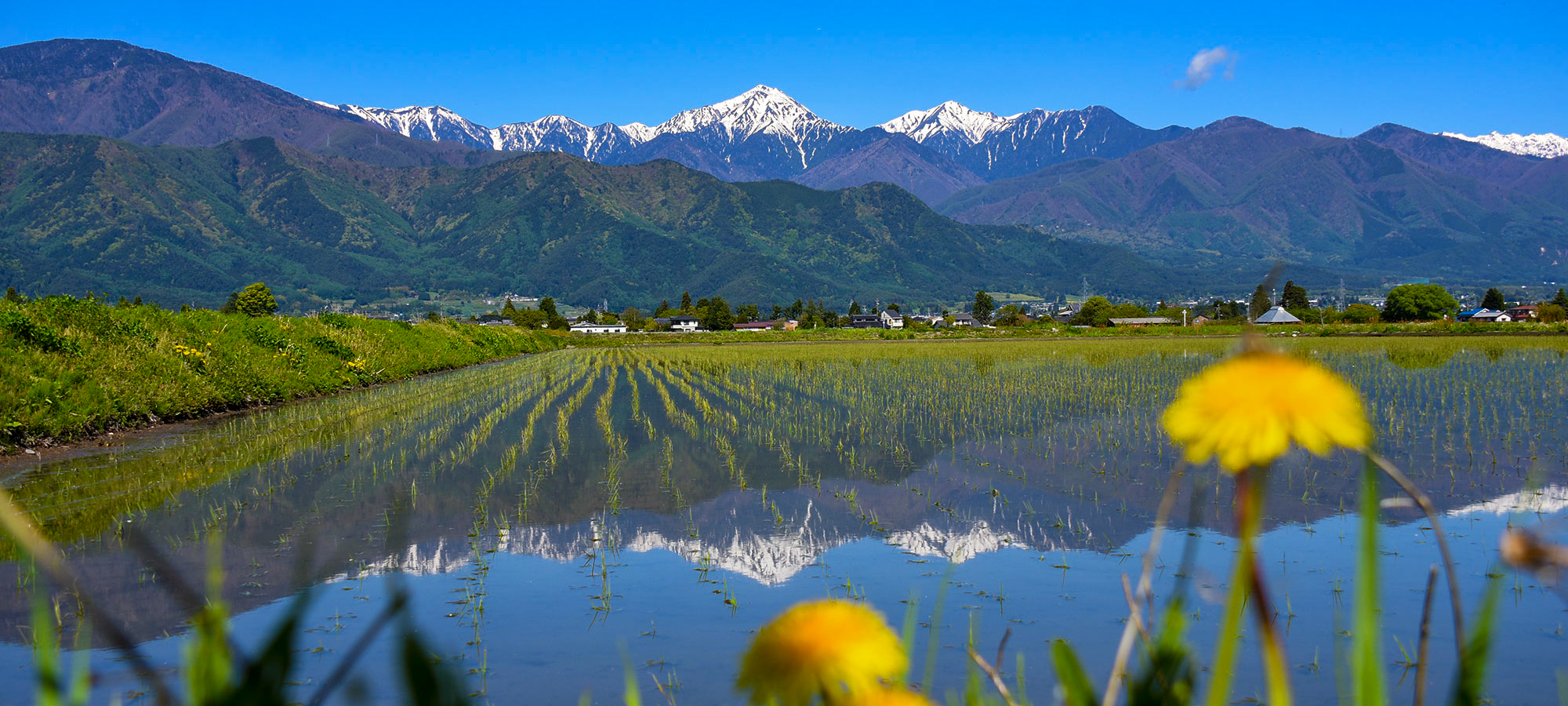 フロントページ1-1