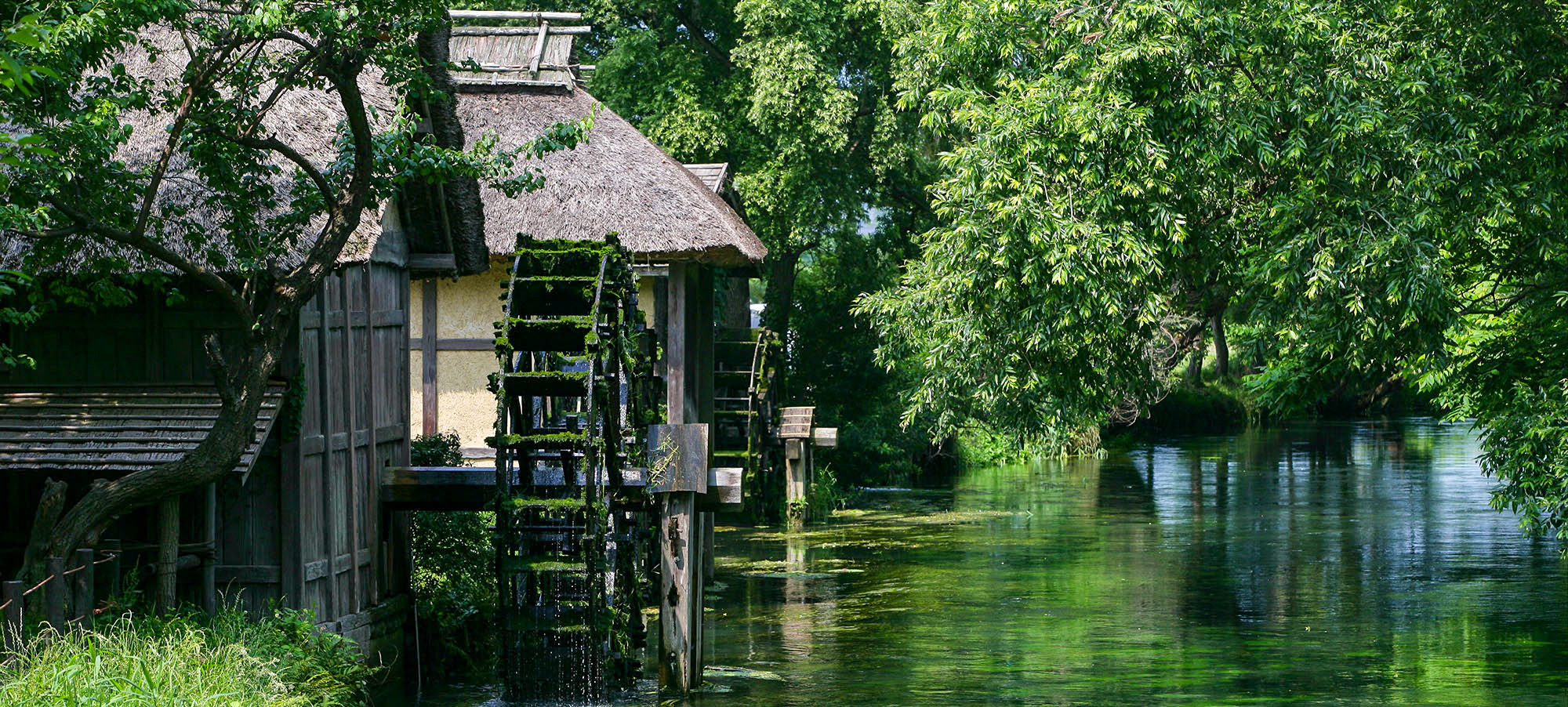 フロントページ4-2