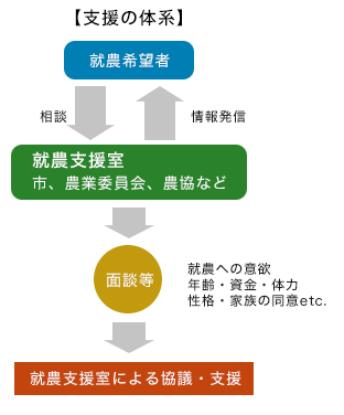 支援体系の図