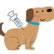 犬の予防注射のイラスト