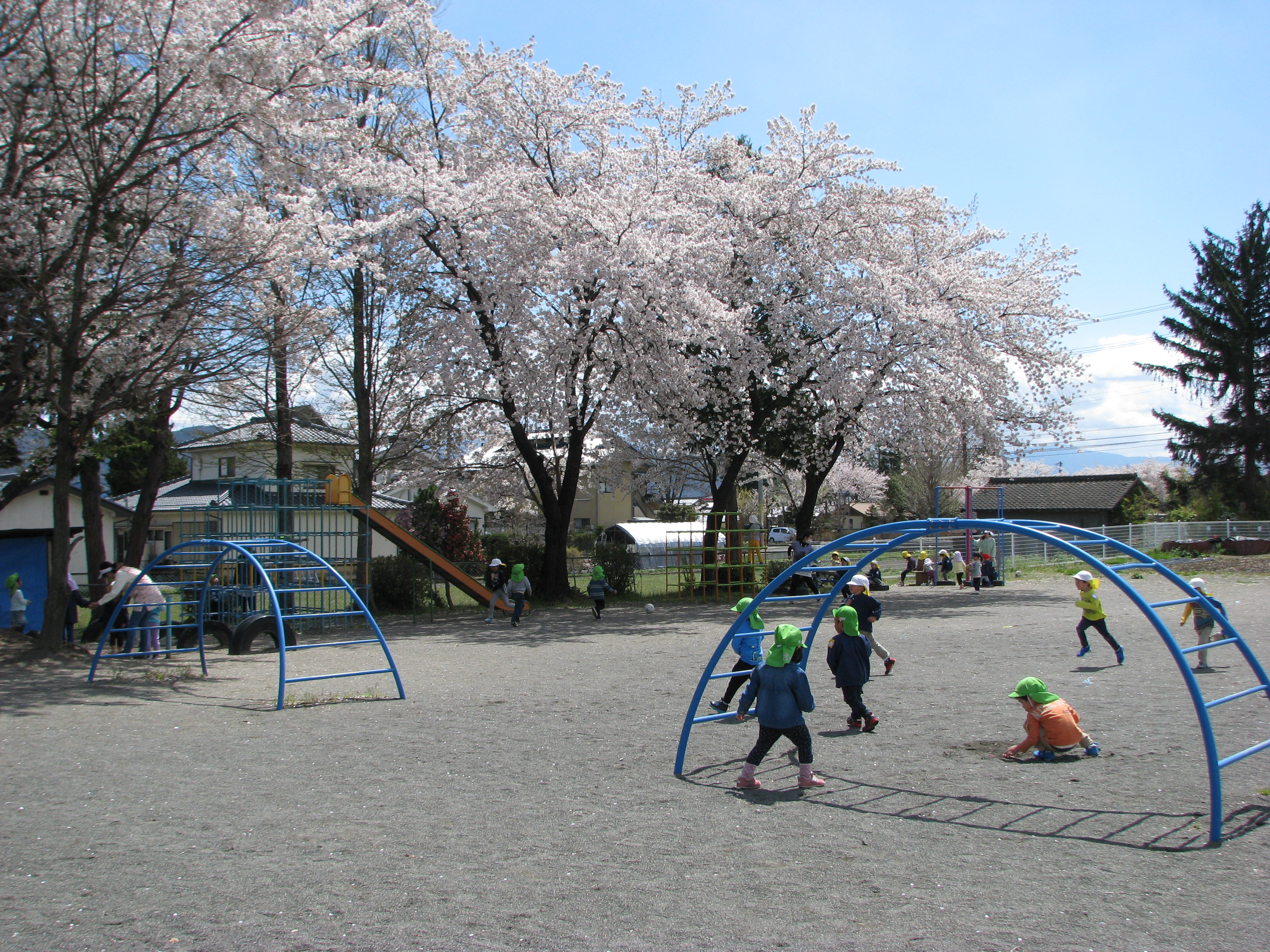 園庭で遊ぶ