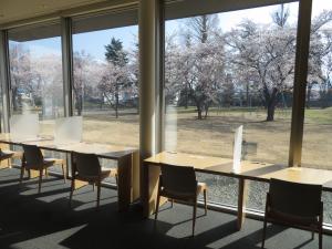 中央図書館　ブラウジング桜