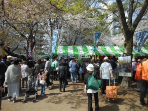 武蔵野桜祭りの様子
