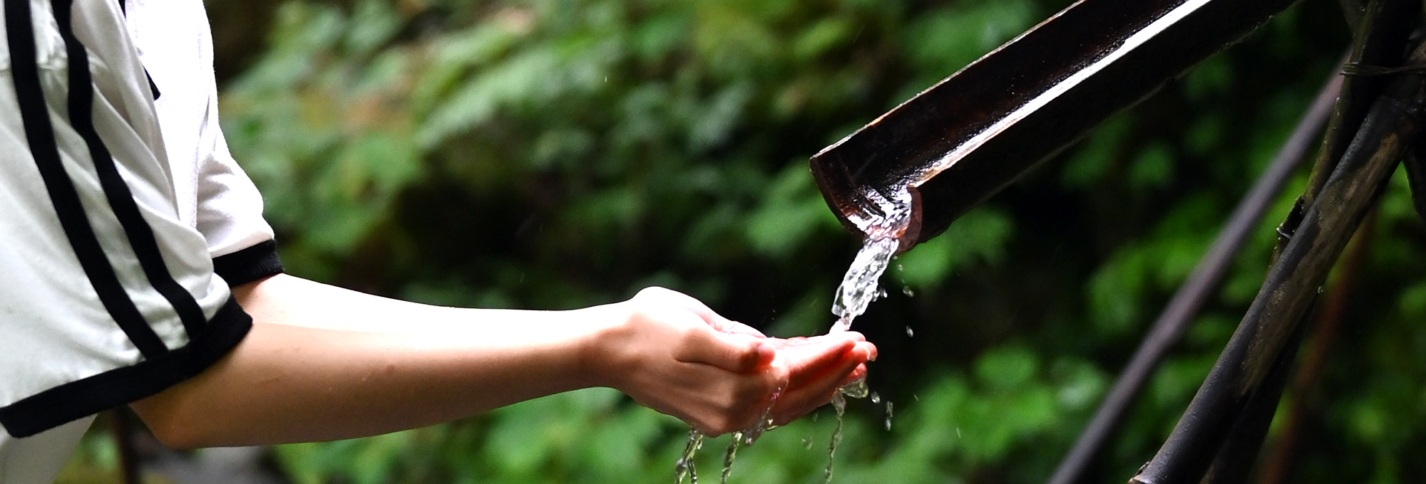 流れる水を手で受ける様子