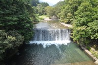 烏川けいこく緑地