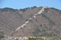 光城山の桜