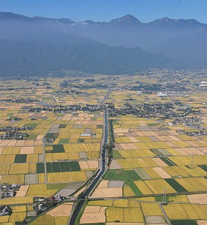 拾ヶ堰のまわりに広がる田んぼ