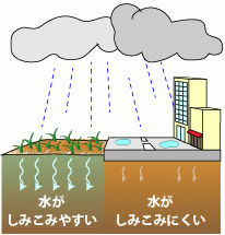 雨が地面にしみこむようす