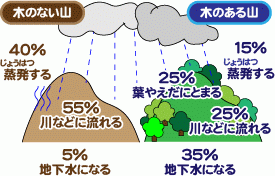 木のある山とない山のちがい