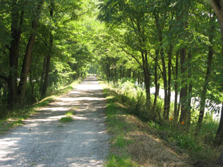 万水川遊歩道