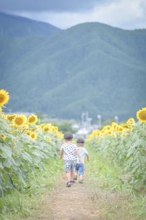 夏部門優秀賞１