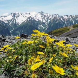 山岳部門最優秀賞