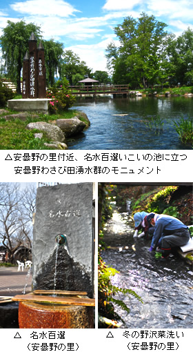 安曇野わさび田湧水群のモニュメント／名水百選に選ばれた湧水／冬の野沢菜洗い