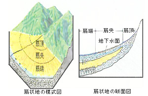扇状地の様式図、扇状地の断面図