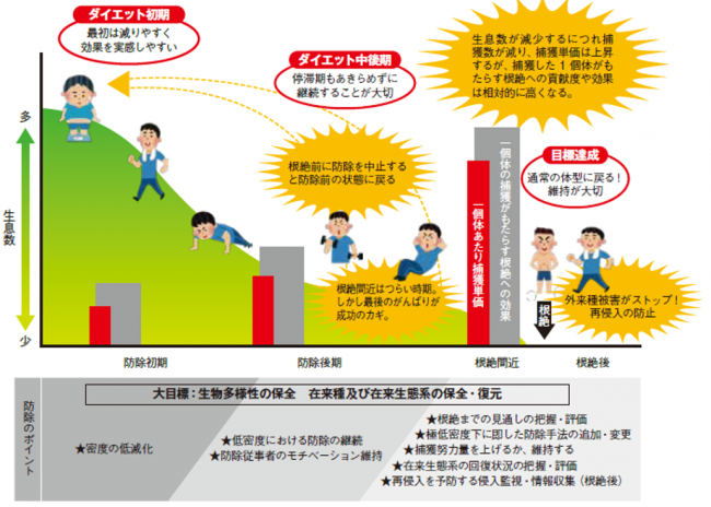 定着した侵略的外来種を根絶させるまでの防除段階ごとの防除の留意点