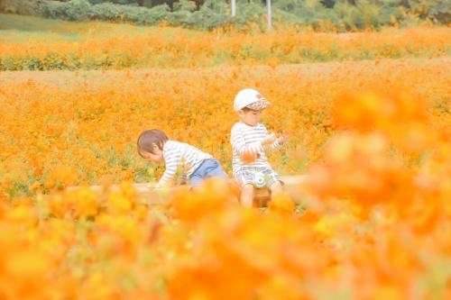 2019秋部門最優秀賞