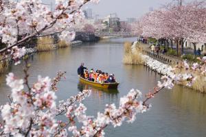 新川千本桜