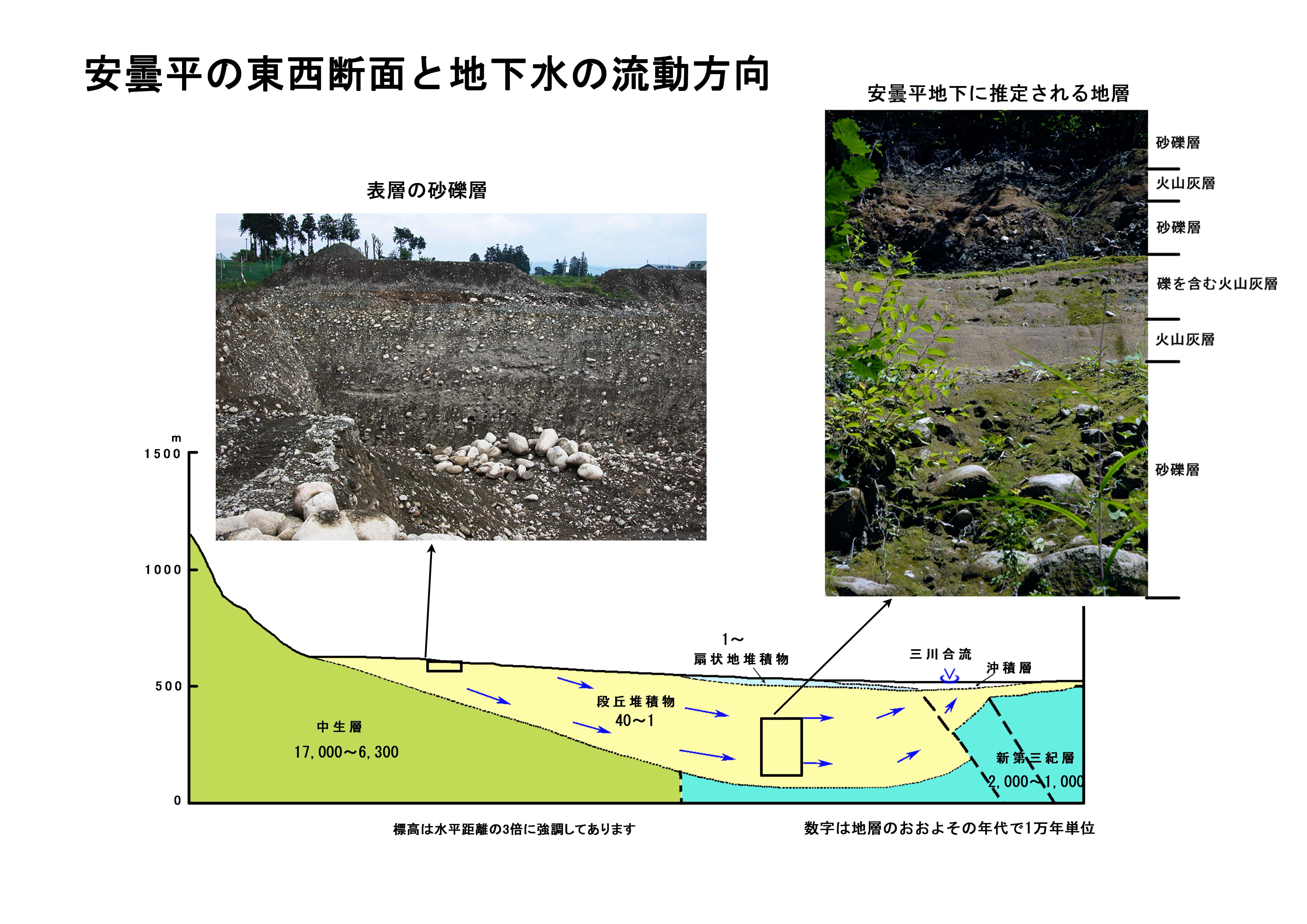 断面図