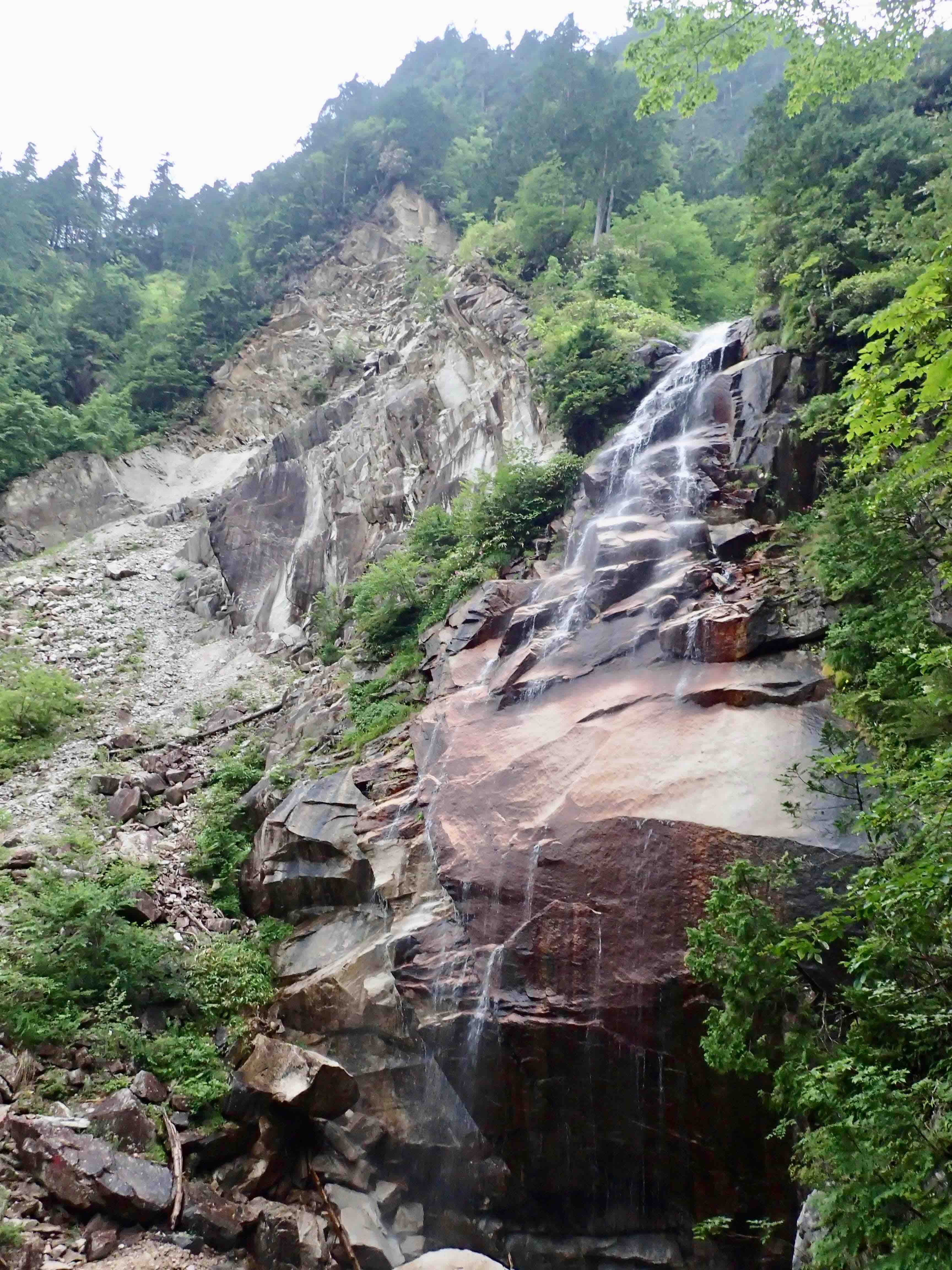 2 亜高山帯 標高1 600から2 400m以上 安曇野市公式ホームページ