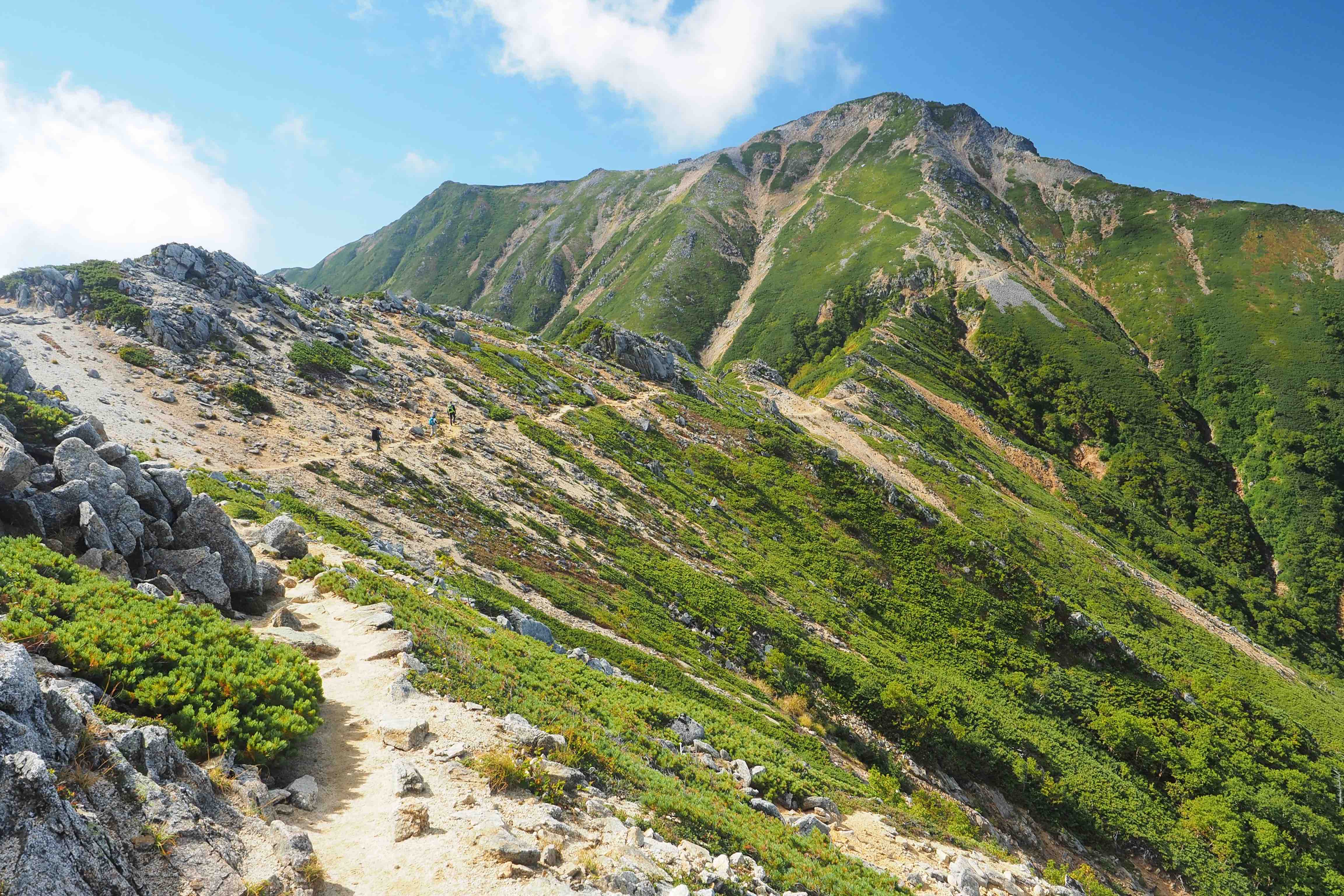 1 高山帯 標高2 400m以上 安曇野市公式ホームページ