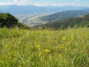 長峰山山頂からの展望