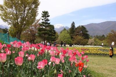 「国営アルプスあづみの公園」の写真