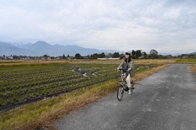 田園風景の中をサイクリングしている写真