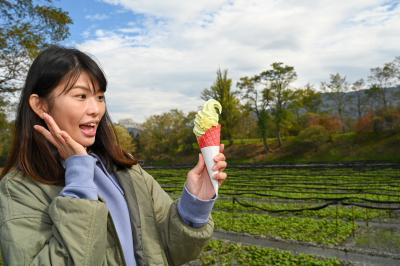 わさびソフトを持った女性の写真