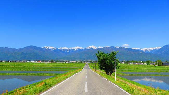 私だけが知っている安曇野部門最優秀賞