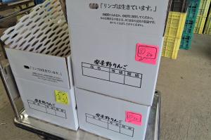 農産物プレゼント