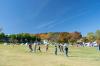 農業公園信貴山のどか村