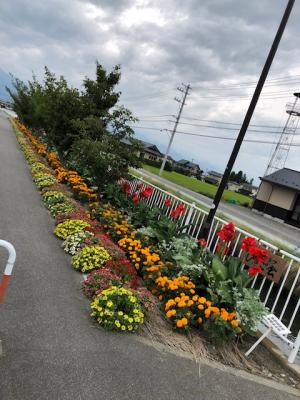 田沢街道沿い