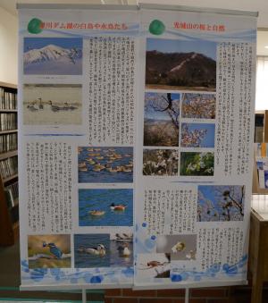 自然科学の展示