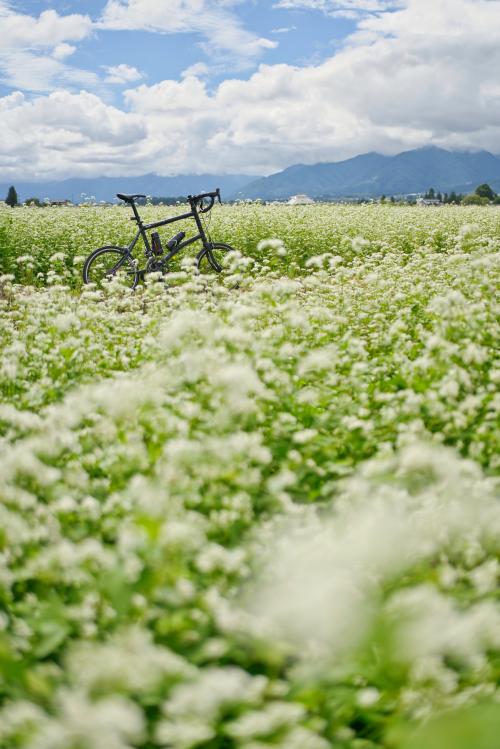 安曇野サイクリング　入賞