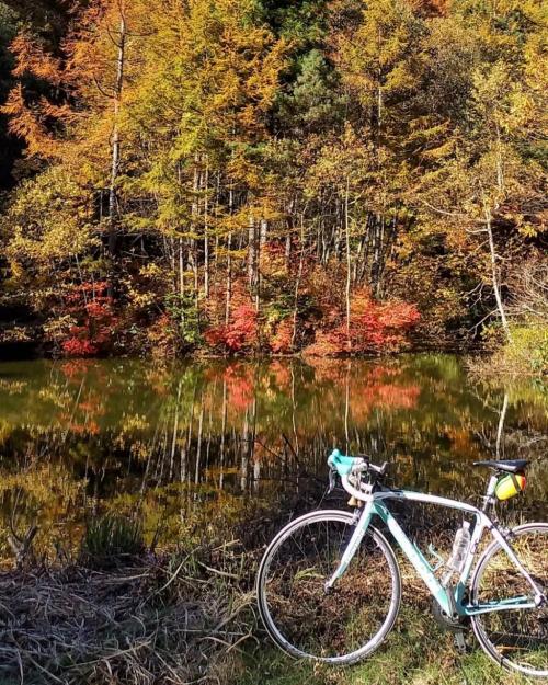 安曇野サイクリング　入賞