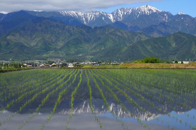 池田町　特別賞