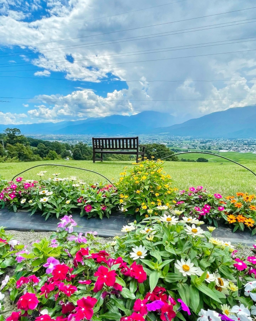 池田町　特別賞