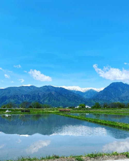 池田町　特別賞