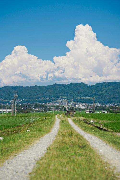 松川村　特別賞