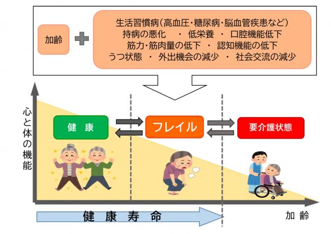 フレイルの図