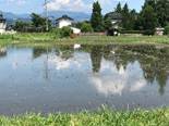 農地による地下水涵養