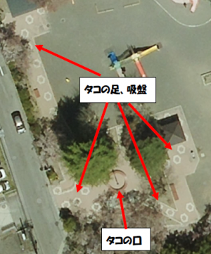 タコ