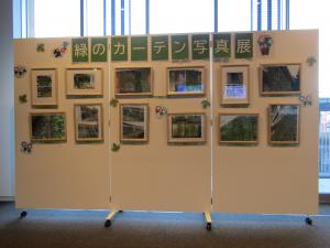 R5 緑のカーテン写真展