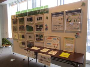 写真展の様子